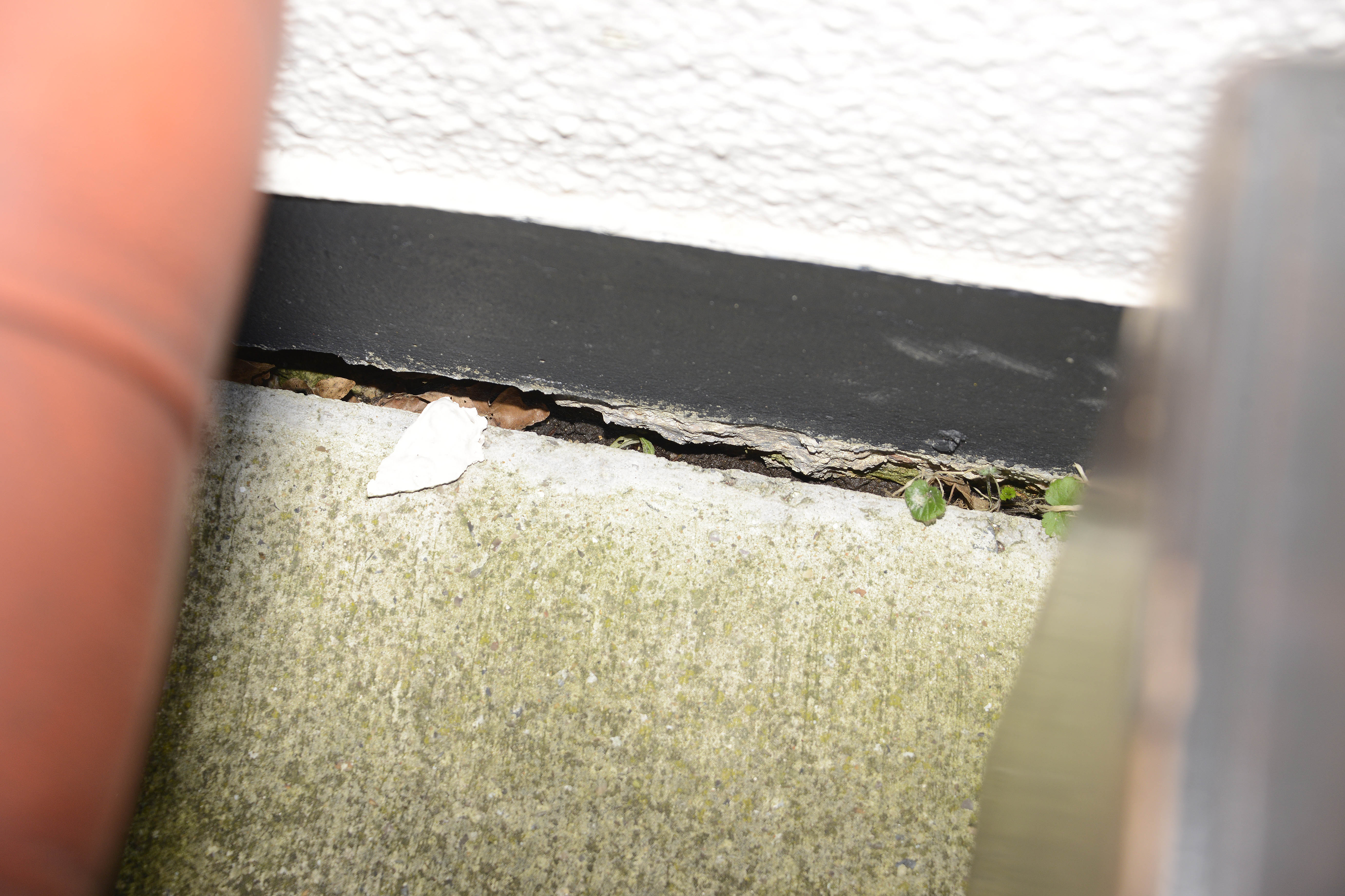 Rising damp is the common term for absorption of water in the lower sections of walls and other ground-supported structures.